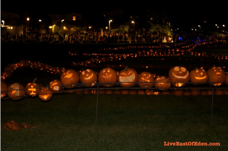 Halloween_Guinness_World_Record_Carved_Pumpkin_Line